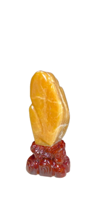 banner da tran trach